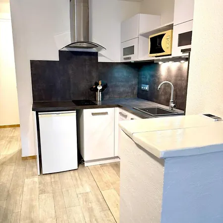 Agreable 2 Pieces Et Son Jardin * Antibes