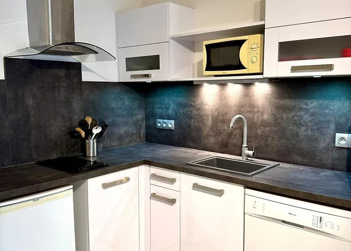 Agreable 2 Pieces Et Son Jardin Apartman