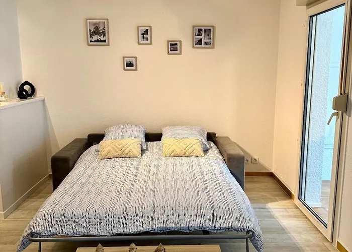 Agreable 2 Pieces Et Son Jardin Apartman